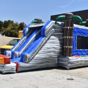 Gray Jungle 15'w28' Dry Slide
