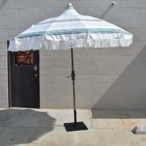 Umbrella with Stand