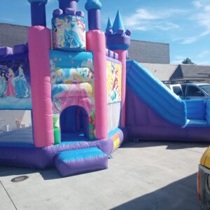 Toxicas Dry Slide 18'x20'